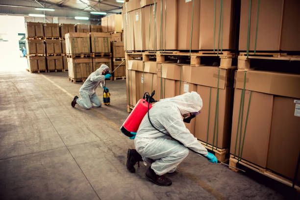 Best Best Pest Control Near Me  in Seaford, DE