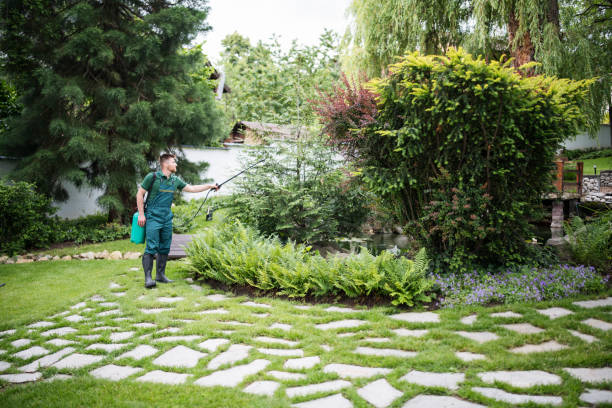 Best Wasp Removal Services  in Seaford, DE