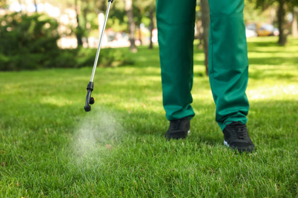 Best Residential Pest Control  in Seaford, DE