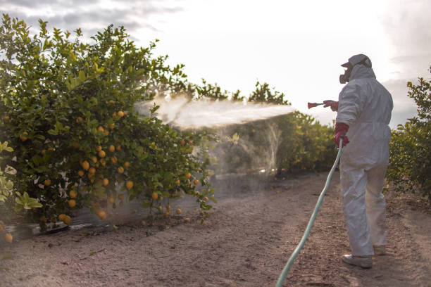 Best Best Pest Control Companies  in Seaford, DE