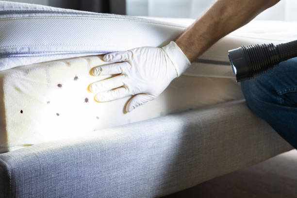 Best Best Pest Control Companies  in Seaford, DE