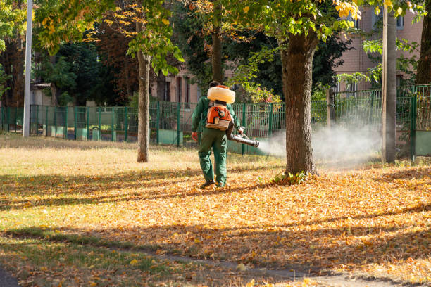 Best Best Pest Control Companies  in Seaford, DE