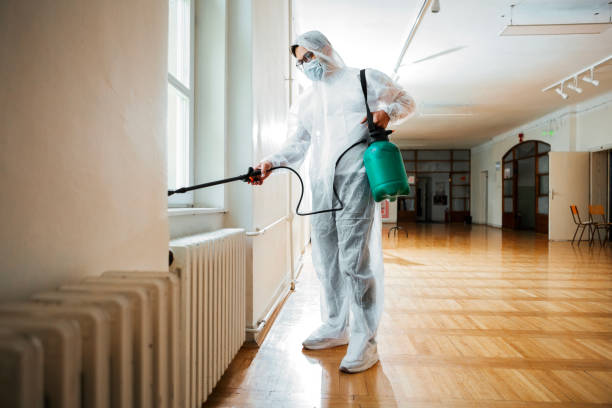 Best Pest Inspection Near Me  in Seaford, DE