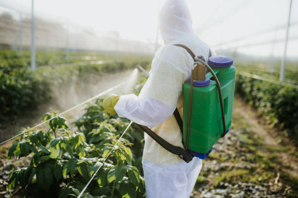 Best Bed Bug Extermination  in Seaford, DE